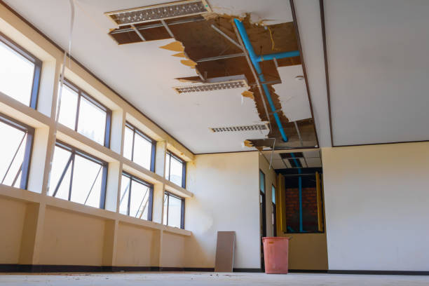 Best Residential water damage restoration  in Ashley, OH