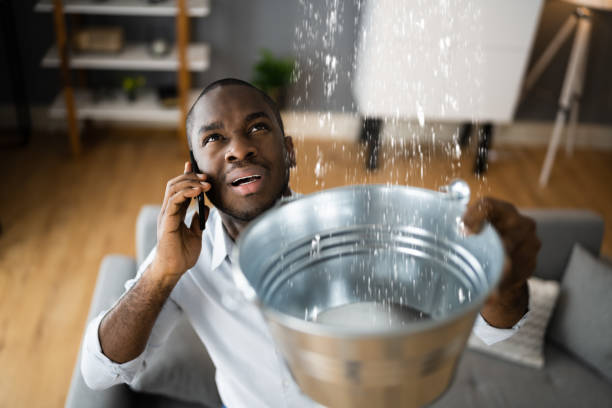 Best Flooded house restoration  in Ashley, OH
