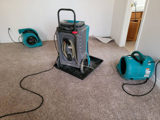 Best Professional water damage repair  in Ashley, OH