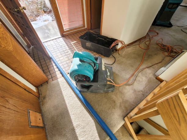 Best Sewage cleanup and water damage restoration  in Ashley, OH
