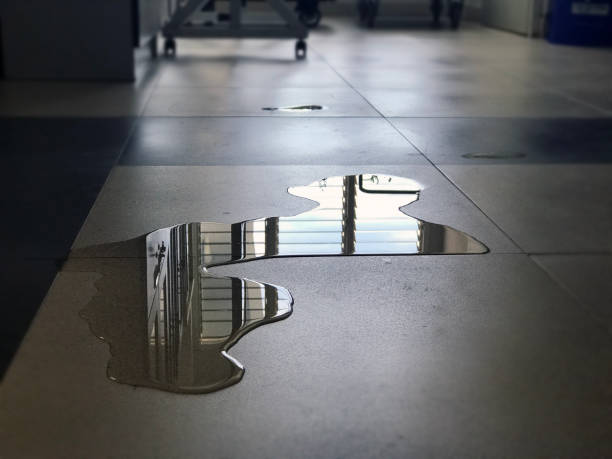 Best 24/7 water damage repair  in Ashley, OH