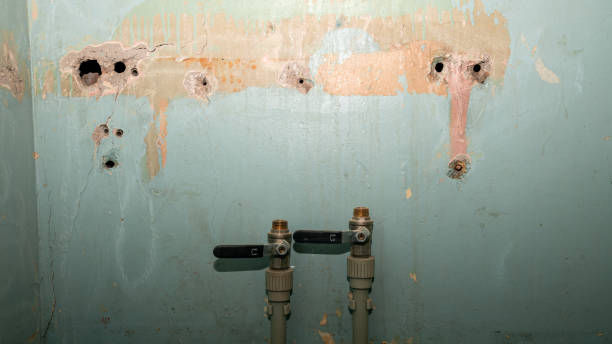 Best Water damage cleanup near me  in Ashley, OH