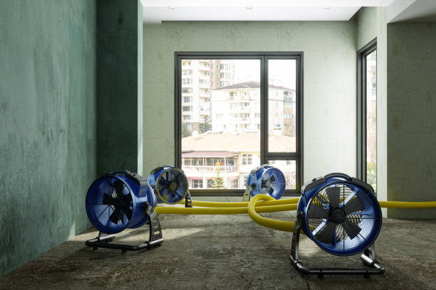 Best Commercial water damage restoration  in Ashley, OH
